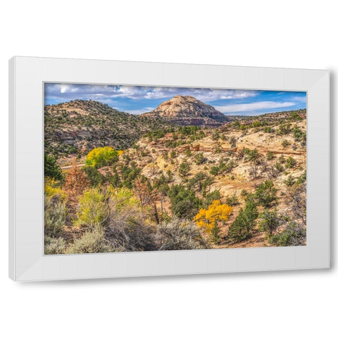 Colorful Autumn-Canyonlands National Park-Needles District-Utah White Modern Wood Framed Art Print by Perry, William
