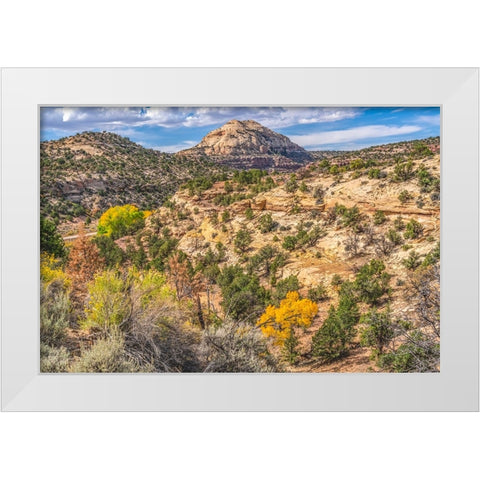 Colorful Autumn-Canyonlands National Park-Needles District-Utah White Modern Wood Framed Art Print by Perry, William