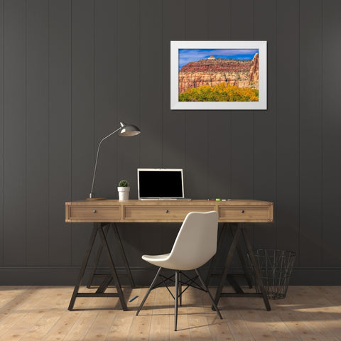 Colorful yellow cottonwood trees White Red Mountain Autumn-Canyonlands National Park-Needles Distri White Modern Wood Framed Art Print by Perry, William