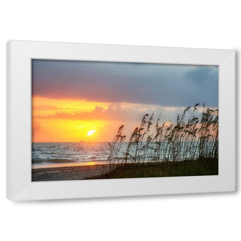 Sunrise on Atlantic Beach White Modern Wood Framed Art Print by Miller, Anna