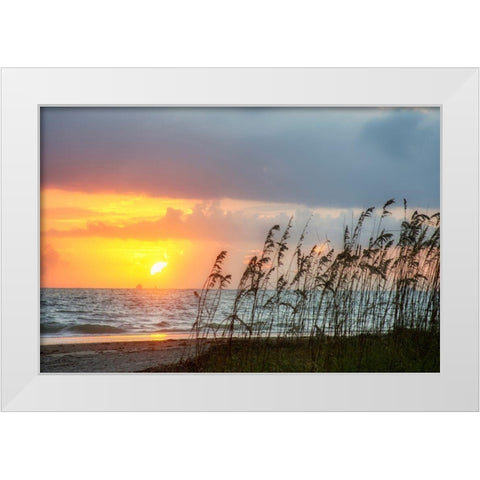 Sunrise on Atlantic Beach White Modern Wood Framed Art Print by Miller, Anna