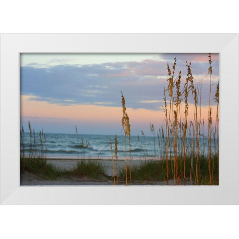 Sea Oats against Sunset Sky-Tybee Island-Georgia-USA White Modern Wood Framed Art Print by Miller, Anna