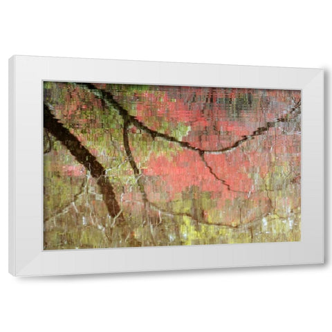 Georgia, Reflections of early spring buds in pond White Modern Wood Framed Art Print by Rotenberg, Nancy
