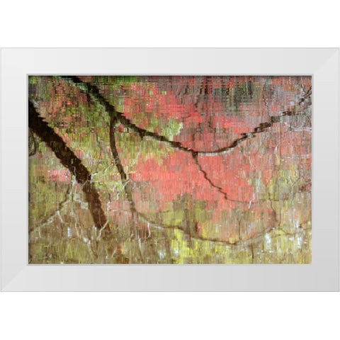 Georgia, Reflections of early spring buds in pond White Modern Wood Framed Art Print by Rotenberg, Nancy