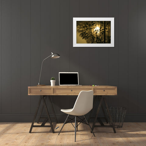 Georgia, Sunrise reflected in a pond White Modern Wood Framed Art Print by Rotenberg, Nancy