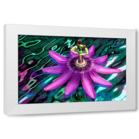 GA, Alpharetta Passion flower on stained glass White Modern Wood Framed Art Print by Needle, Charles