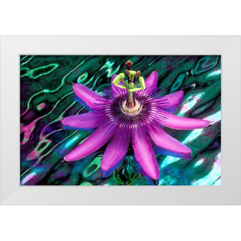 GA, Alpharetta Passion flower on stained glass White Modern Wood Framed Art Print by Needle, Charles