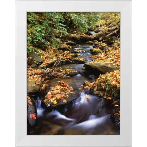 Georgia, Cherokee NF Small creek in autumn White Modern Wood Framed Art Print by Flaherty, Dennis