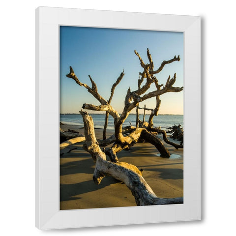 USA-Jekyll Island White Modern Wood Framed Art Print by Theodore, George and Marilu