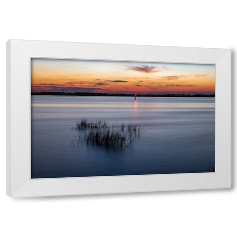 USA-Georgia-Jekyll Island-Sunset at Driftwood Beach and the petrified trees White Modern Wood Framed Art Print by Looney, Hollice