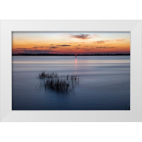 USA-Georgia-Jekyll Island-Sunset at Driftwood Beach and the petrified trees White Modern Wood Framed Art Print by Looney, Hollice