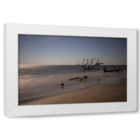 USA-Georgia-Jekyll Island-Sunset at Driftwood Beach and the petrified trees White Modern Wood Framed Art Print by Looney, Hollice
