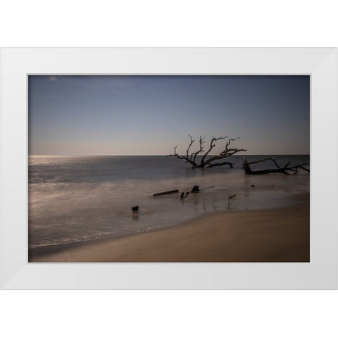 USA-Georgia-Jekyll Island-Sunset at Driftwood Beach and the petrified trees White Modern Wood Framed Art Print by Looney, Hollice