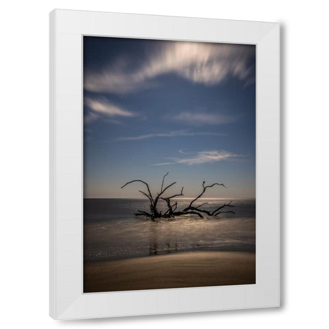 USA-Georgia-Jekyll Island-Sunset at Driftwood Beach and the petrified trees White Modern Wood Framed Art Print by Looney, Hollice
