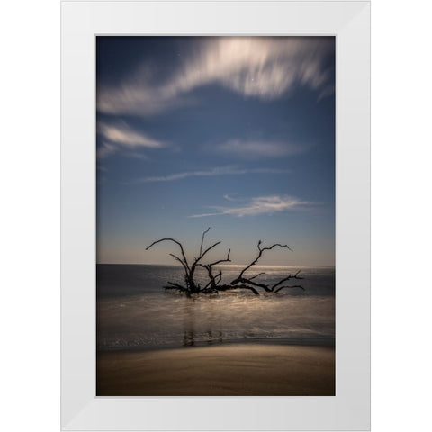USA-Georgia-Jekyll Island-Sunset at Driftwood Beach and the petrified trees White Modern Wood Framed Art Print by Looney, Hollice