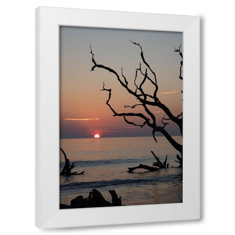USA-Georgia-Jekyll Island-Sunrise on Driftwood Beach of petrified trees White Modern Wood Framed Art Print by Looney, Hollice