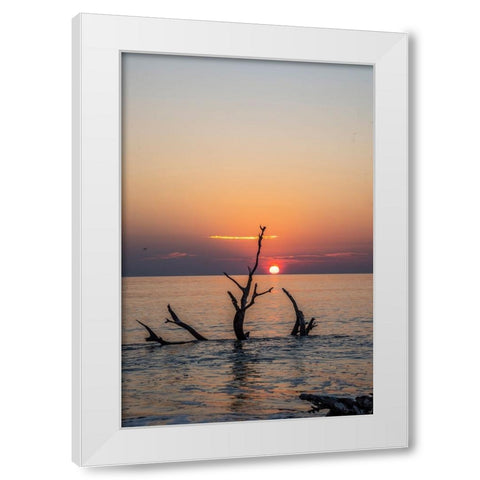 USA-Georgia-Jekyll Island-Sunrise on Driftwood Beach of petrified trees White Modern Wood Framed Art Print by Looney, Hollice