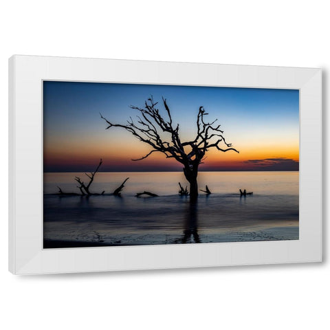 USA-Georgia-Jekyll Island-Sunrise on Driftwood Beach of petrified trees White Modern Wood Framed Art Print by Looney, Hollice