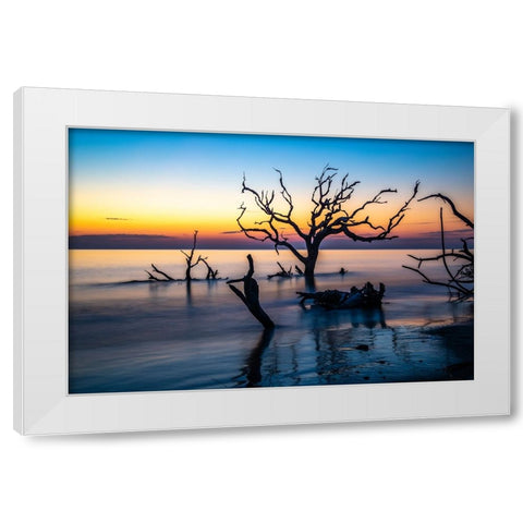 USA-Georgia-Jekyll Island-Sunrise on Driftwood Beach of petrified trees White Modern Wood Framed Art Print by Looney, Hollice