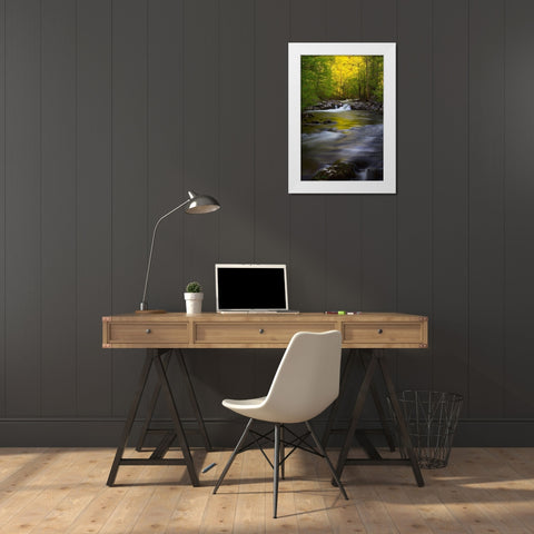 Tennessee Great Smoky Mountains National Park-Little River White Modern Wood Framed Art Print by Wells, Joanne
