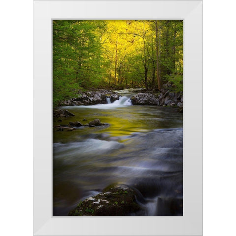 Tennessee Great Smoky Mountains National Park-Little River White Modern Wood Framed Art Print by Wells, Joanne