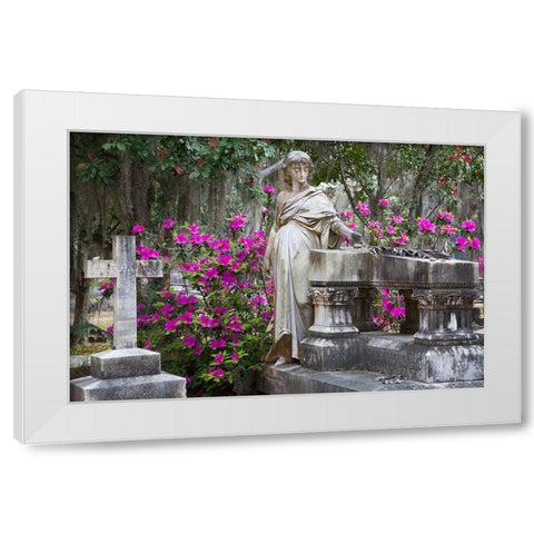 Georgia-Savannah-Bonaventure Cemetery in the spring with azaleas in bloom White Modern Wood Framed Art Print by Wells, Joanne