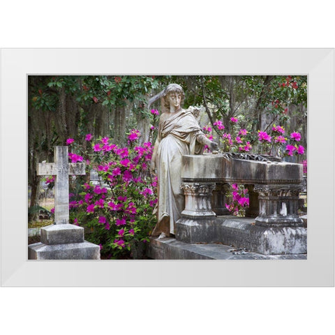 Georgia-Savannah-Bonaventure Cemetery in the spring with azaleas in bloom White Modern Wood Framed Art Print by Wells, Joanne