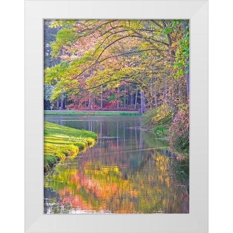 Georgia-Callaway gardens springtime White Modern Wood Framed Art Print by Gulin, Sylvia