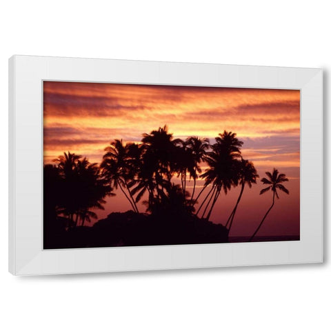 USA, Hawaii, Big Island Sunset over palm grove White Modern Wood Framed Art Print by Ross, Nancy ,  Steve