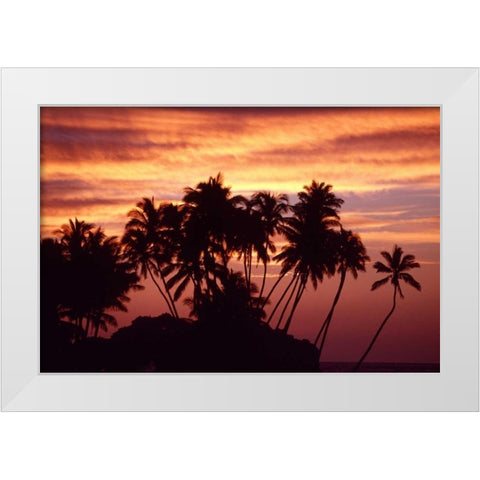 USA, Hawaii, Big Island Sunset over palm grove White Modern Wood Framed Art Print by Ross, Nancy ,  Steve