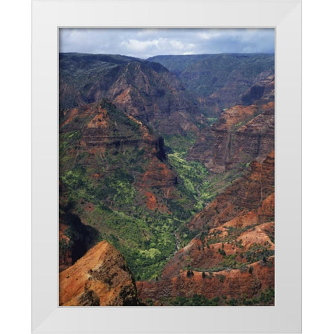 USA, Hawaii, Kauai Waimea Canyon overlook White Modern Wood Framed Art Print by Flaherty, Dennis