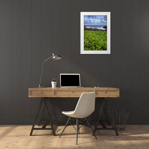 Hawaii, Kauai Plants next to rocky coastline White Modern Wood Framed Art Print by Flaherty, Dennis