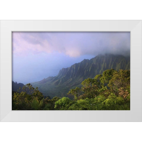 Hawaii, Kauai Kalalau Overlook of Na Pali Coast White Modern Wood Framed Art Print by Flaherty, Dennis