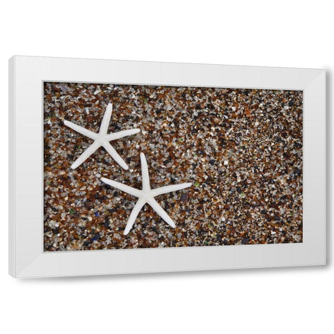 Hawaii, Kauai Starfish skeletons on Glass Beach White Modern Wood Framed Art Print by Flaherty, Dennis