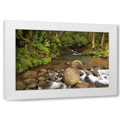 Hawaii, Kauai Creek flowing from a rainforest White Modern Wood Framed Art Print by Flaherty, Dennis