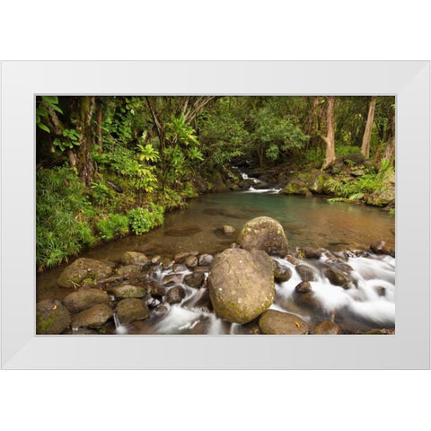 Hawaii, Kauai Creek flowing from a rainforest White Modern Wood Framed Art Print by Flaherty, Dennis