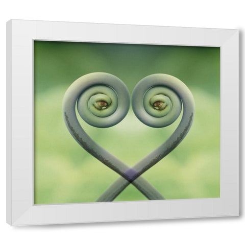 Hawaii Frond montage at Akaka Falls State Park White Modern Wood Framed Art Print by Bush, Marie