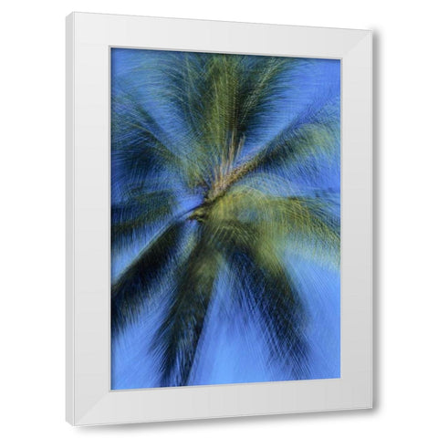 USA, Hawaii Palm tree montage White Modern Wood Framed Art Print by Bush, Marie