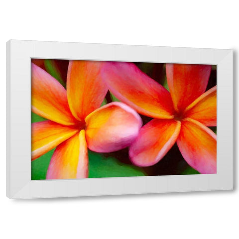 Hawaii-Kauai Abstract of plumeria flowers White Modern Wood Framed Art Print by Jaynes Gallery