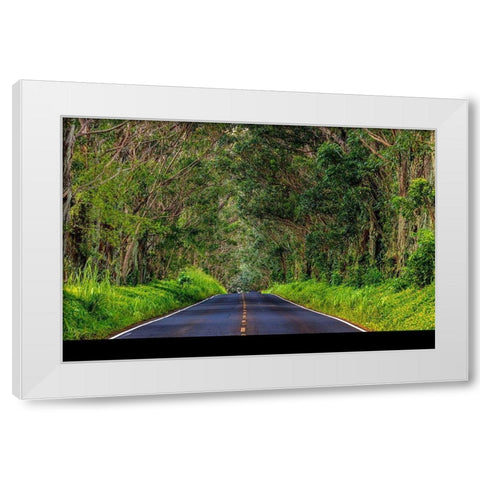 Tree tunnel of Eucalyptus trees line Maliuhi Road near Koloa in Kauai-Hawaii-USA White Modern Wood Framed Art Print by Haney, Chuck