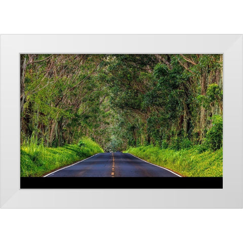 Tree tunnel of Eucalyptus trees line Maliuhi Road near Koloa in Kauai-Hawaii-USA White Modern Wood Framed Art Print by Haney, Chuck