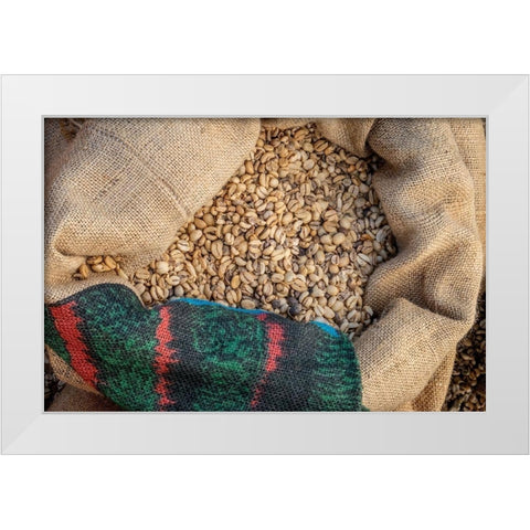 Kauai Coffee beans drying-Kauai-Hawaii-USA White Modern Wood Framed Art Print by Engelbrecht, Jim
