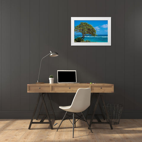 Tree overlooking Poipu Bay-Kauai-Hawaii-USA White Modern Wood Framed Art Print by Engelbrecht, Lisa S.