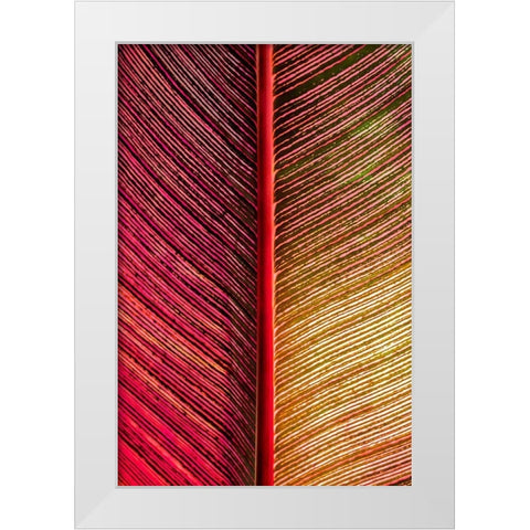 Tropical Vibes White Modern Wood Framed Art Print by Engelbrecht, Lisa S.