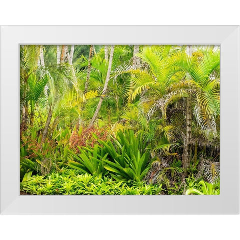 Hawaii-Maui-Hana-garden on the road to Hana with palms and bromide plants White Modern Wood Framed Art Print by Gulin, Sylvia