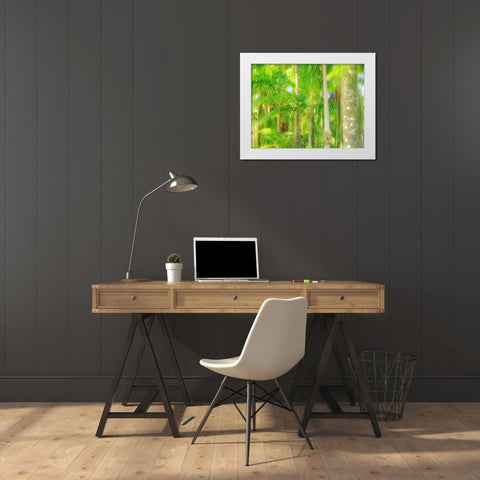 Hawaii-Maui-Road to Hana and the lush tropical Palm Trees White Modern Wood Framed Art Print by Gulin, Sylvia
