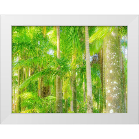 Hawaii-Maui-Road to Hana and the lush tropical Palm Trees White Modern Wood Framed Art Print by Gulin, Sylvia