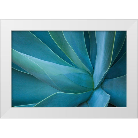 Hawaii-Maui-Kula-agave plant design White Modern Wood Framed Art Print by Gulin, Sylvia