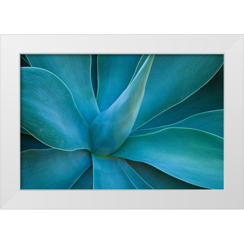 Hawaii-Maui-Kula-agave plant design White Modern Wood Framed Art Print by Gulin, Sylvia