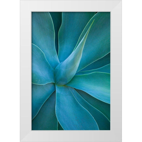 Hawaii-Maui-Kula-agave plant design White Modern Wood Framed Art Print by Gulin, Sylvia
